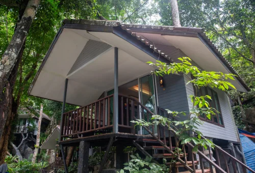 Treehouse-style accommodation surrounded by tropical rainforest on a Khao Sok overnight tour