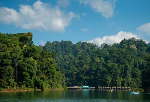 Floating bungalows surrounded by tropical rainforest and emerald water on Cheow Lan Lake, Khao Sok