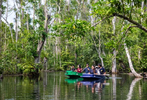 Group of visitors canoeing together through a peaceful rainforest waterway in Khao Sok, Thailand