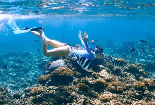 phi-phi-islands-x-large-the-early-bird-phuket-travel-store-50