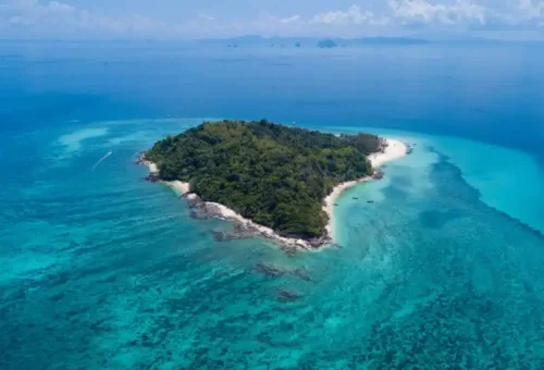 phi-phi-islands-x-large-the-early-bird-phuket-travel-store-49