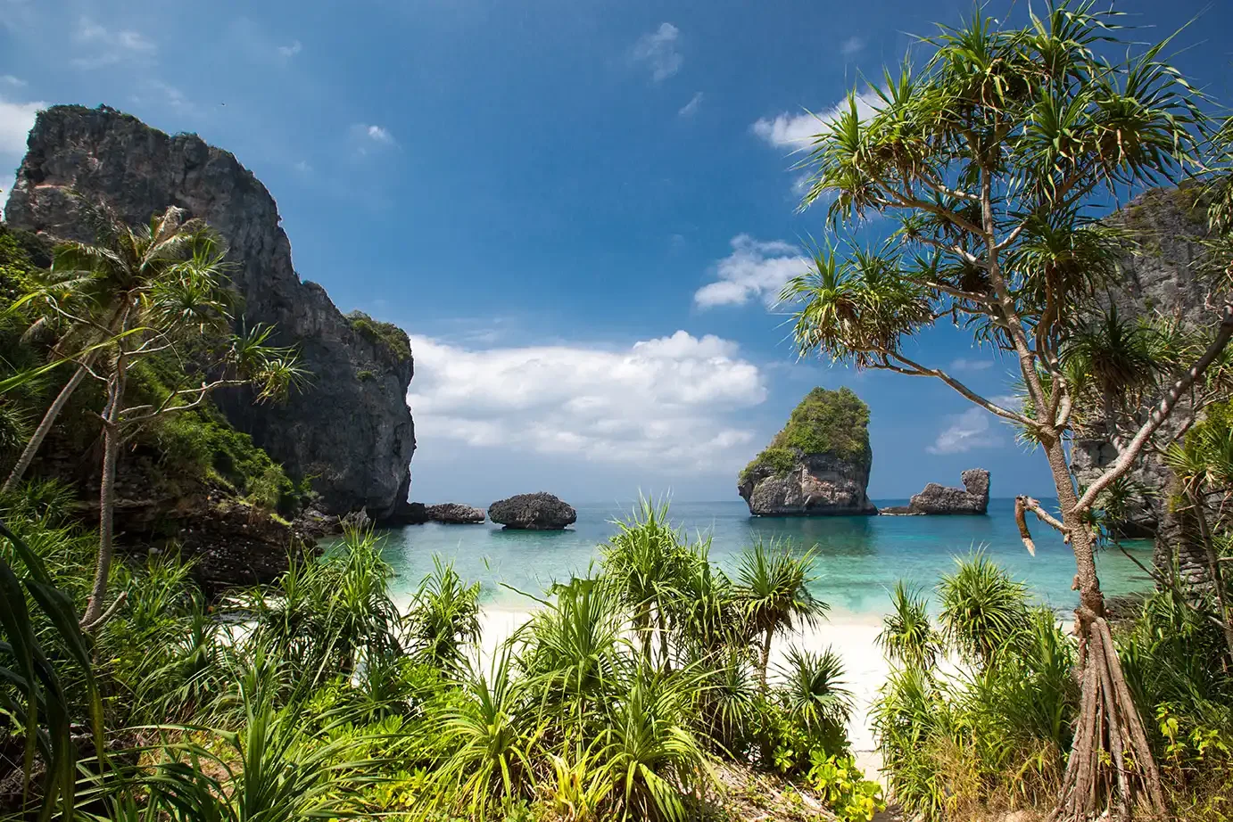 Phi Phi Islands X Large The Early Bird Phuket Travel Store 38