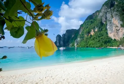 Sunrise view of Loh Dalum Bay at Phi Phi Islands with a longtail boat and limestone cliffs in soft morning light