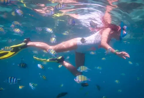 Early morning snorkeler exploring vibrant coral reef in crystal-clear waters near Phi Phi Islands