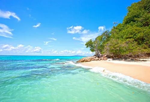 Bamboo Island at its finest — soft white sand, clear turquoise waters, and lush tropical surroundings, featured on the Phi Phi Islands X-Large Early Bird tour.