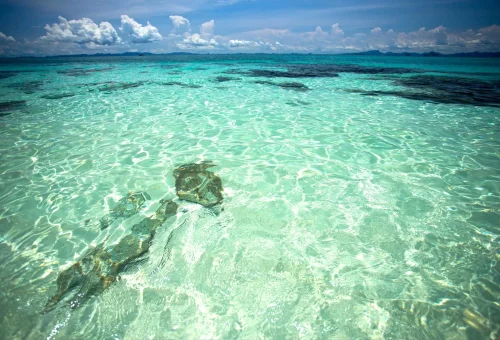 Crystal clear turquoise water surrounding the Phi Phi Islands, with white sandy seabed visible beneath the surface — captured during the X-Large Early Bird tour.