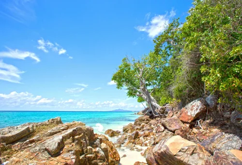 Bamboo Island view with powdery white sand, clear turquoise sea, and a backdrop of lush tropical greenery, captured during the Phi Phi Islands X-Large Early Bird tour.
