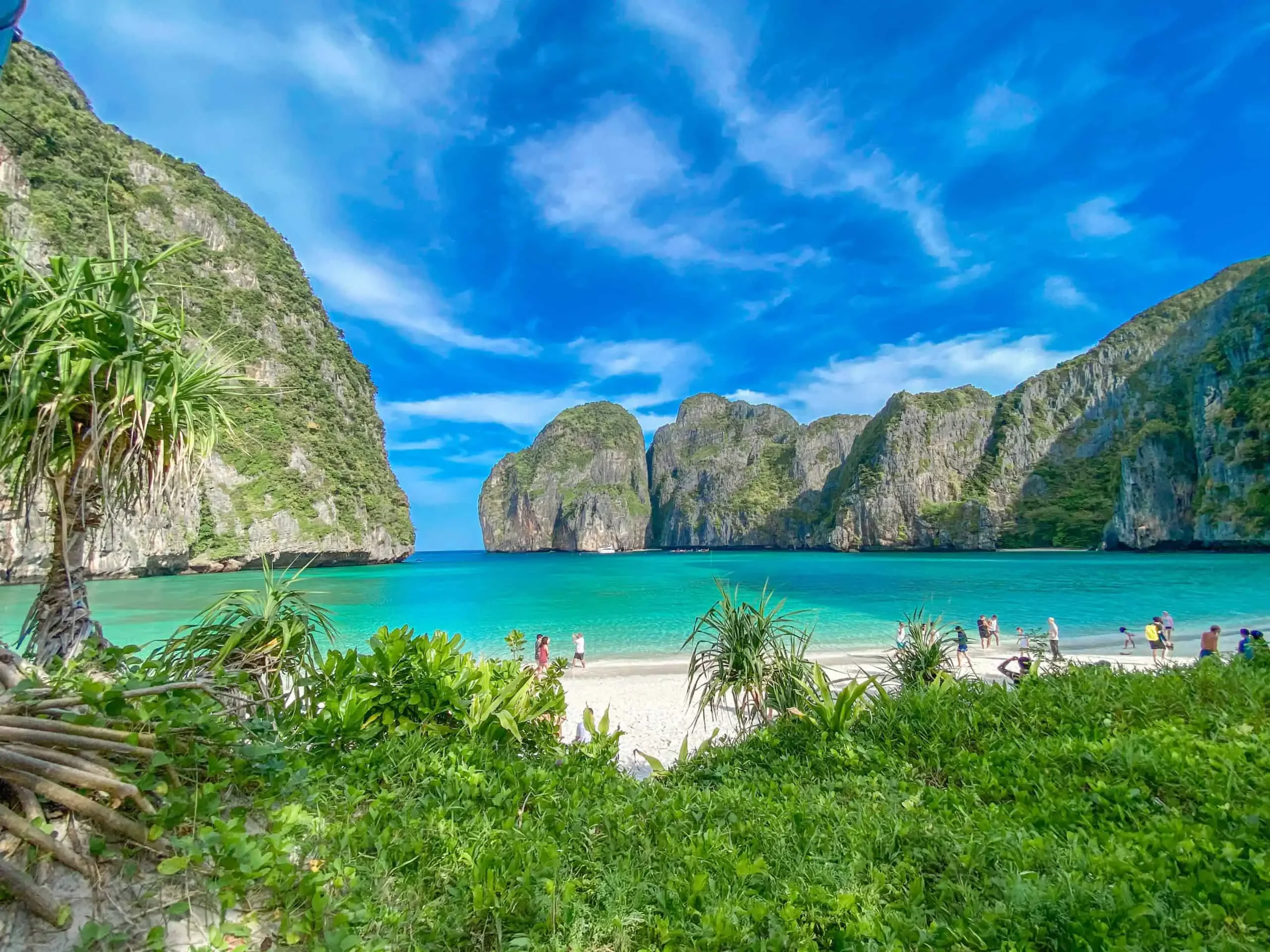 Empty Maya Bay at sunrise — untouched white sand, crystal-clear turquoise water, and majestic limestone cliffs, captured during the Phi Phi Islands X-Large Early Bird tour.