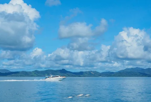 Speedboat cruising through the calm, emerald waters of Phang Nga Bay at sunrise, with limestone cliffs in the distance — part of the early departure James Bond Island Tour.
