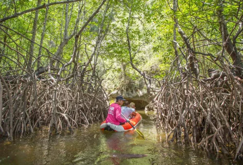 Guests paddling through sea caves and limestone cliffs in a canoe during the early departure James Bond Island Tour, surrounded by calm emerald waters.