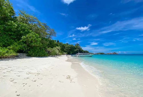 A secluded stretch of white sand and turquoise water at Honeymoon Beach, Similan Islands, surrounded by lush tropical greenery.