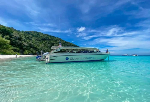 Peaceful sunrise over Similan Island with a quiet beach, calm sea, and soft golden light touching the shoreline.