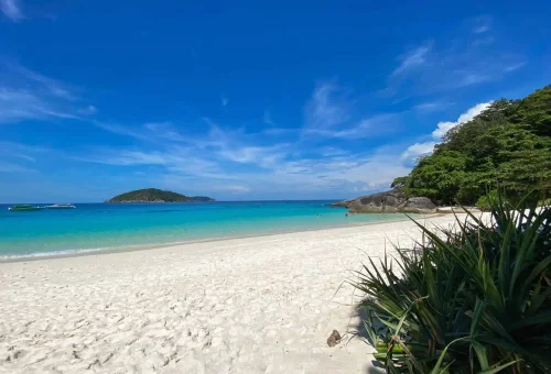 similan-island-tour-phuket-travel-store 17