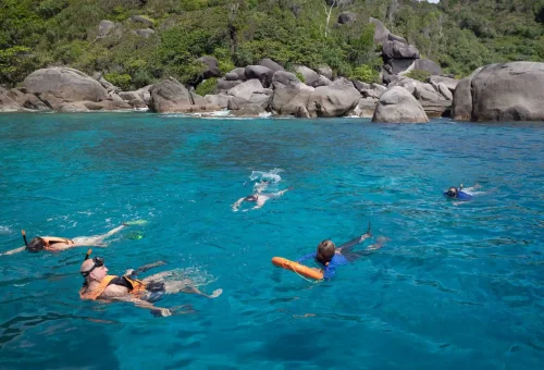 Snorkeling in clear blue waters over coral reefs at Similan’s Paradise Bay, Thailand – a tropical underwater escape.