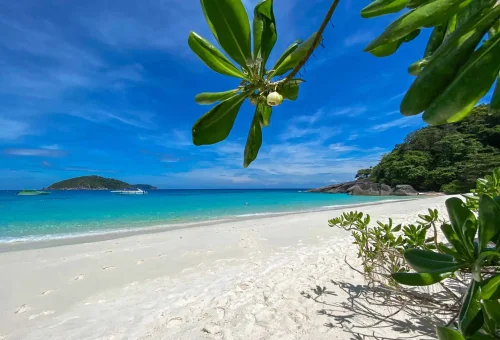 Scenic view of Princess Bay at Similan Island with calm turquoise waters, soft white sand, and lush green surroundings