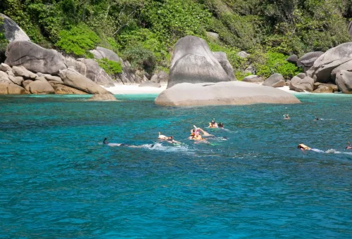 Snorkeler swimming above vibrant coral reefs and tropical fish in the clear blue waters off Similan Island