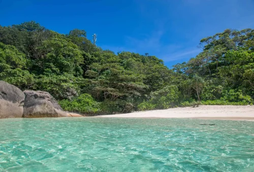 Relaxing beach scene at Similan Island with white sand, clear turquoise water, and visitors sunbathing and swimming