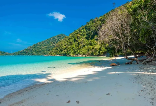 Visitors enjoying beach time at Surin Island with soft white sand, turquoise sea, and a relaxed tropical setting