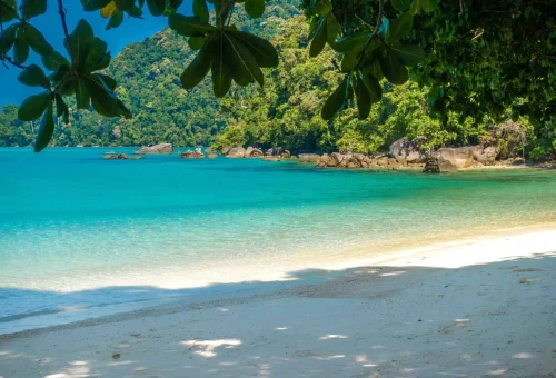 Relaxing beach scene on Surin Island with visitors lounging on the sand, swimming in turquoise water, and enjoying the natural surroundings