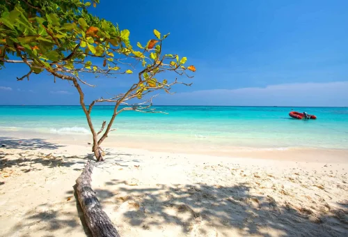 Stunning view of Koh Rok’s beach with powdery white sand, clear turquoise water, and lush tropical surroundings