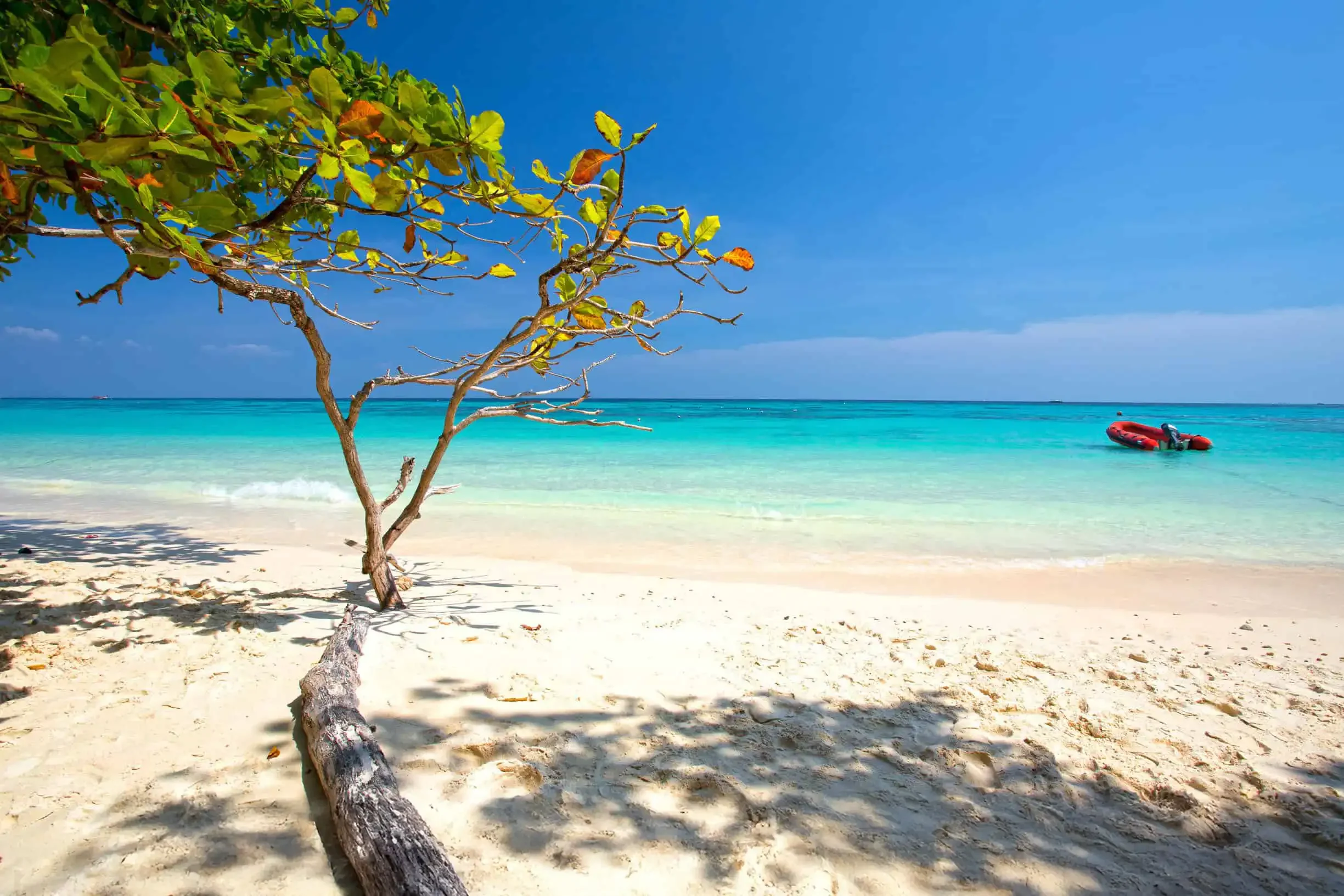 Koh Rok Koh Haa Tour Phuket Travel Store 22