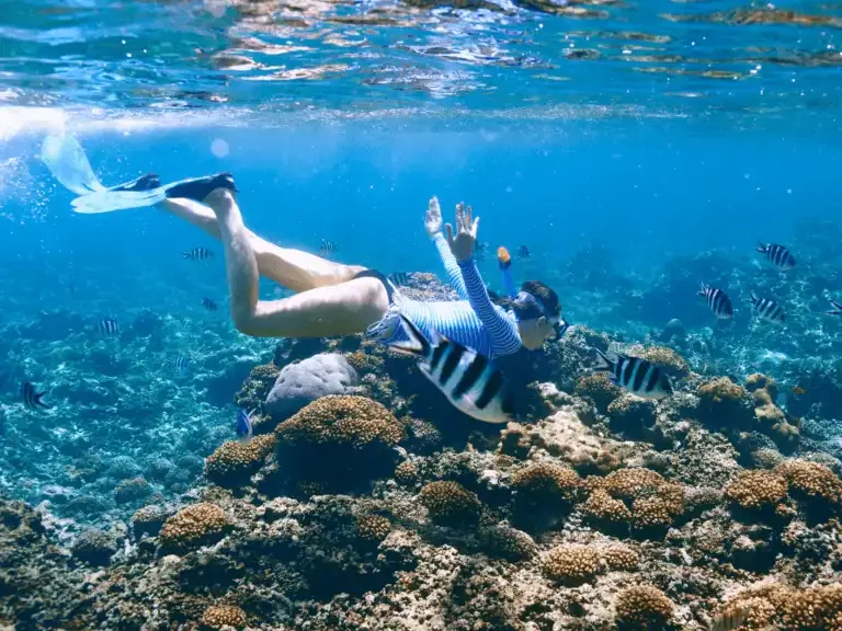 Snorkeler exploring vibrant coral reefs and tropical fish in the clear waters of Koh Rok