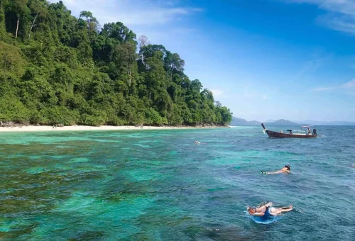 Snorkeler exploring the vibrant coral reef and tropical fish in the clear waters off Koh Kradan