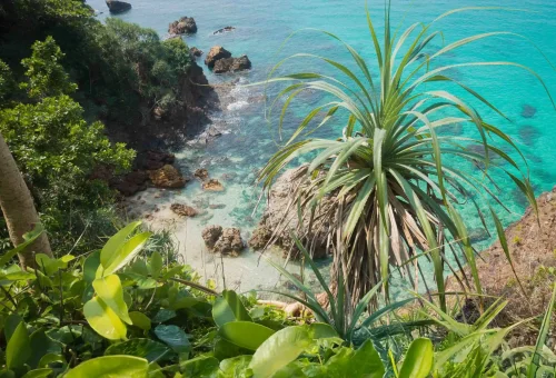 Sunset over Koh Kradan beach with calm waves, soft sand, and a peaceful tropical horizon