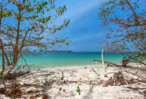 Scenic view of Koh Kradan beach with soft white sand, clear turquoise water, and lush tropical trees