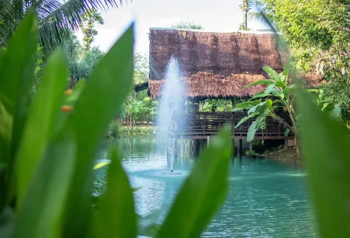 Scenic view of Old Phuket Farm with traditional Thai wooden houses, tropical gardens, and cultural activity areas