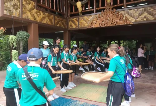 Demonstration of traditional rice harvesting at Old Phuket Farm, with workers using wooden tools in a lush paddy field