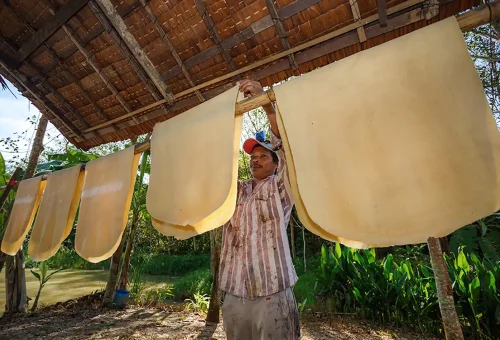 Traditional rubber tapping demonstration at Old Phuket Farm, showing how latex is collected from rubber trees