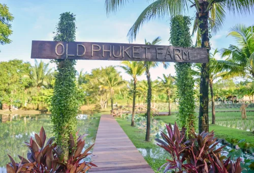 Visitors walking through Old Phuket Farm with traditional Thai houses, open gardens, and cultural displays in a tropical setting