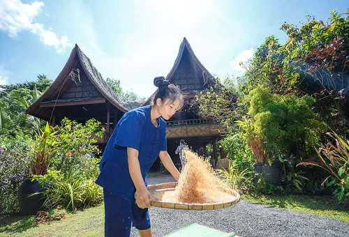 "Scenic view of Old Phuket Farm featuring traditional Thai wooden houses, tropical plants, and cultural displays