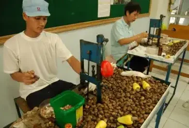 phuket-explorer=tour-phuket-travel-store 4