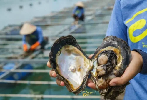 phuket-explorer=tour-phuket-travel-store 1