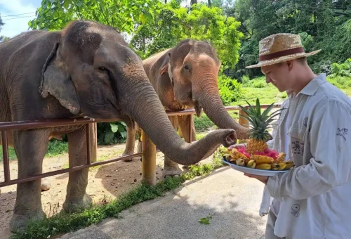 Bukit Elephant Park Phuket Travel Store 2