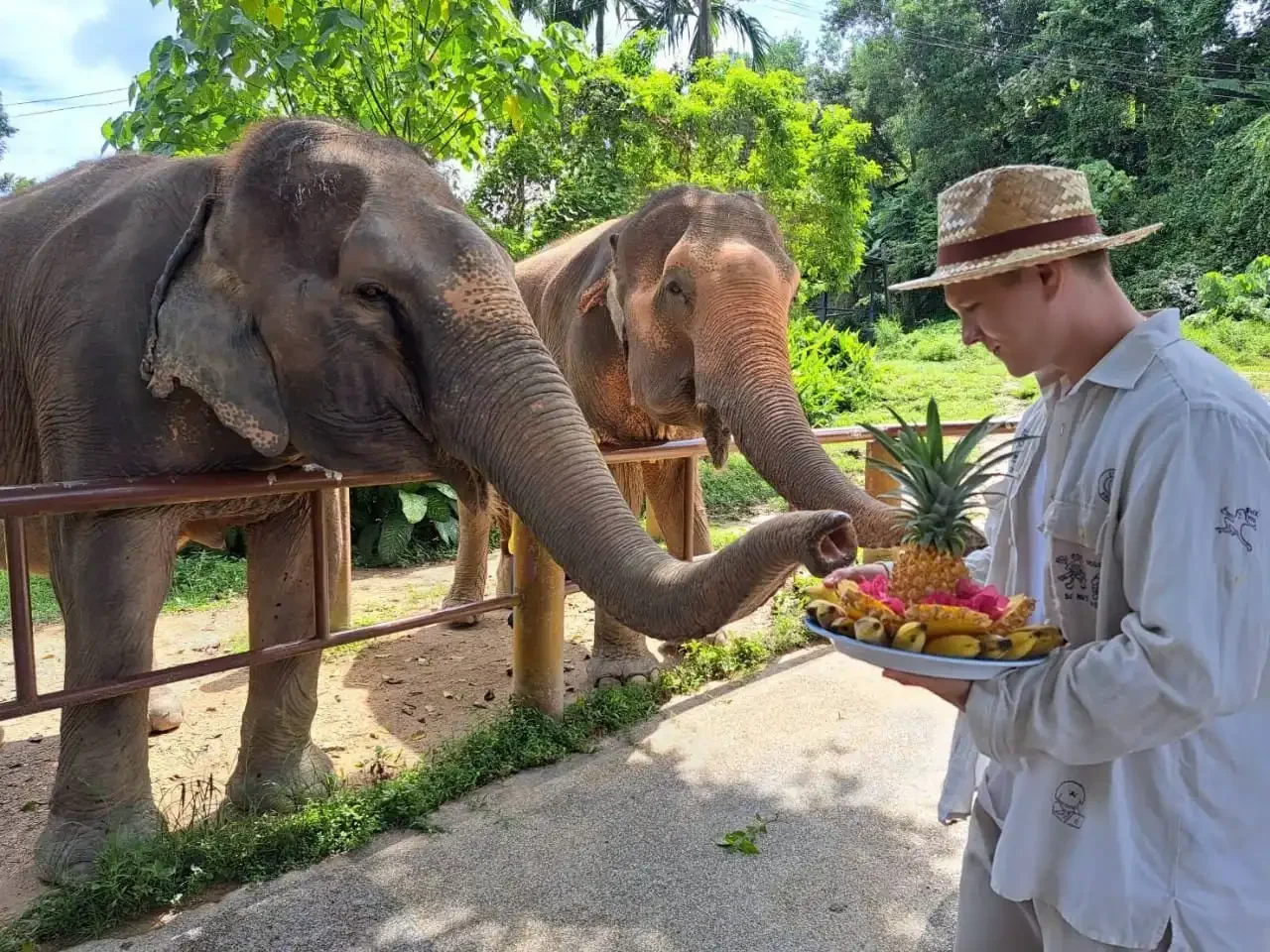 Bukit Elephant Park Phuket Travel Store 2