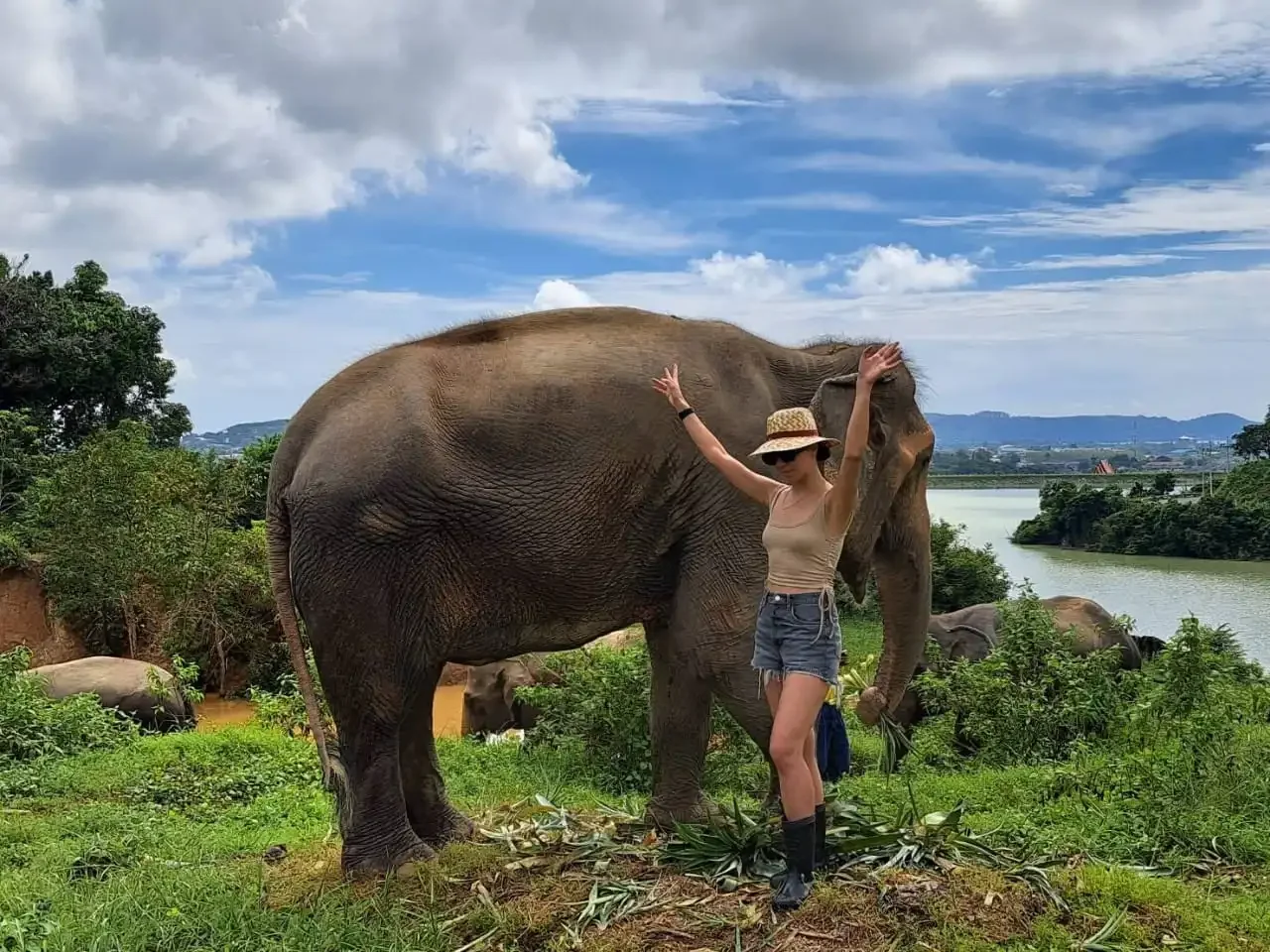 Bukit Elephant Park Phuket Travel Store 3