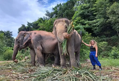 Bukit Elephant Park Phuket Travel Store 4