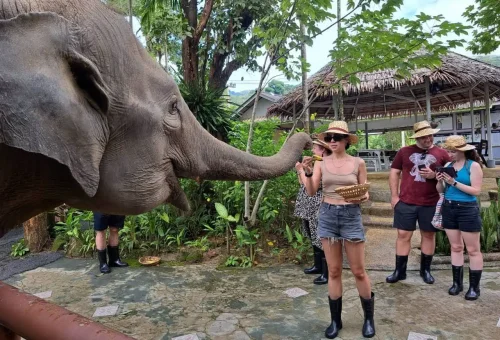 Bukit Elephant Park Phuket Travel Store 5