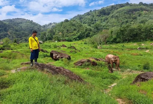 bukit-elephant-park-phuket-travel-store-8