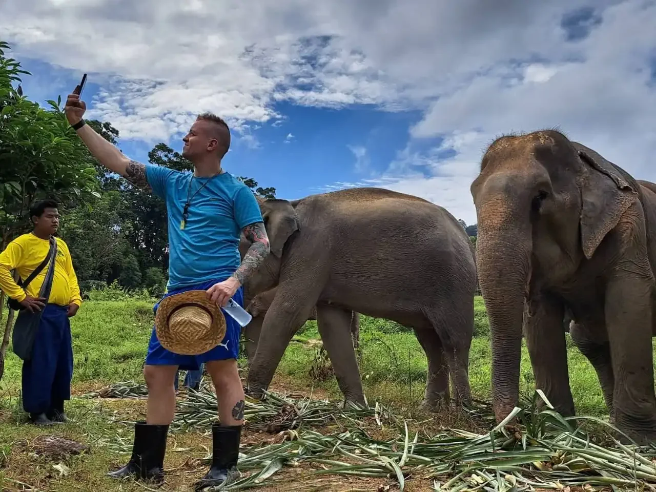 Elephant calmly resting under the trees at Bukit Elephant Park Phuket, with peaceful natural surroundings and a serene atmosphere