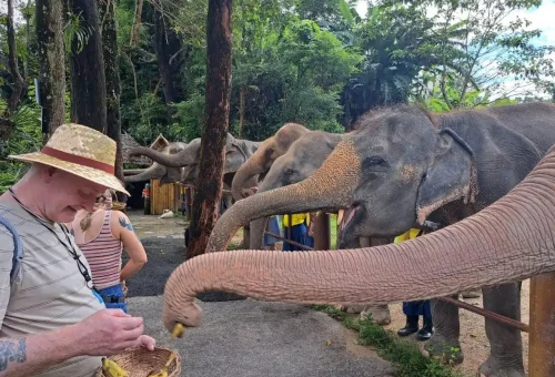 Bukit Elephant Park Phuket Travel Store 12