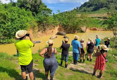Bukit Elephant Park Phuket Travel Store 14