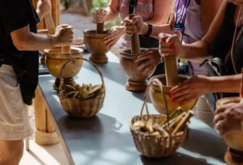 phuket-elephant-conservation-phuket-travel-store-1