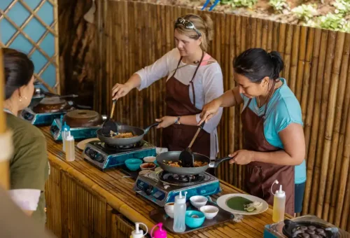 phuket-elephant-conservation-phuket-travel-store-3