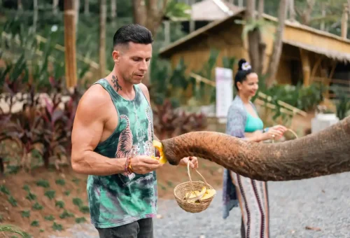 Guest offering fresh fruits to an elephant in a shaded, natural area at Phuket Elephant Conservation.