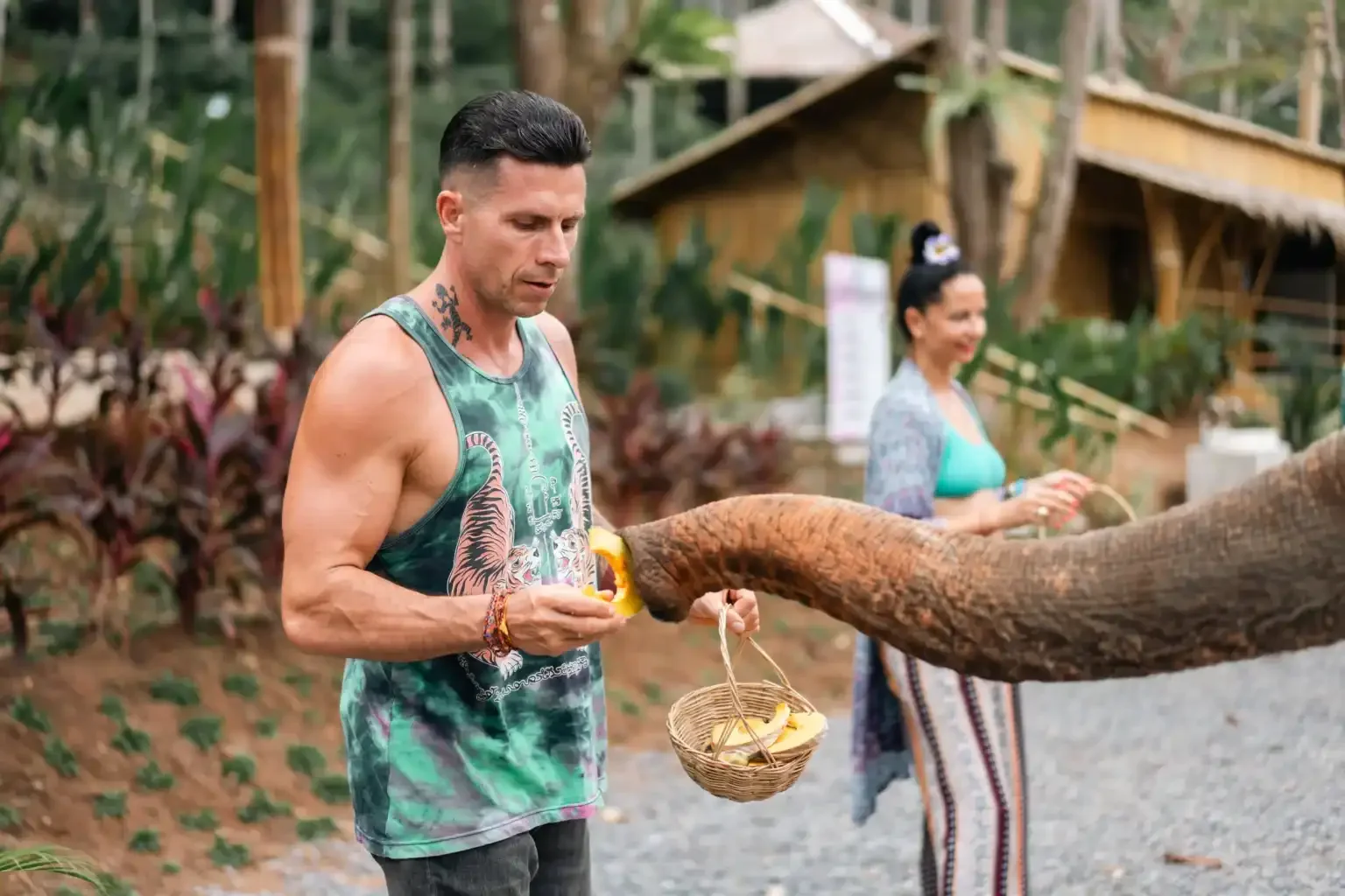 Phuket Elephant Conservation Phuket Travel Store 5