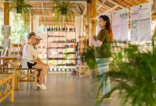 phuket-elephant-conservation-phuket-travel-store-17